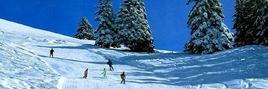 Skifahren zur best Ski Resort Chinas