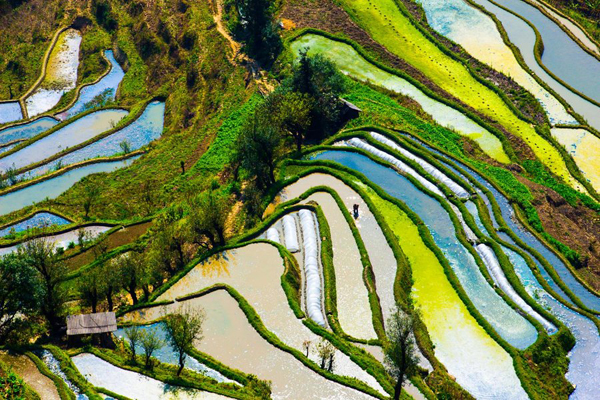 Reisterrassen von Yuanyang