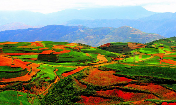 Rotes Land in Dongchuan